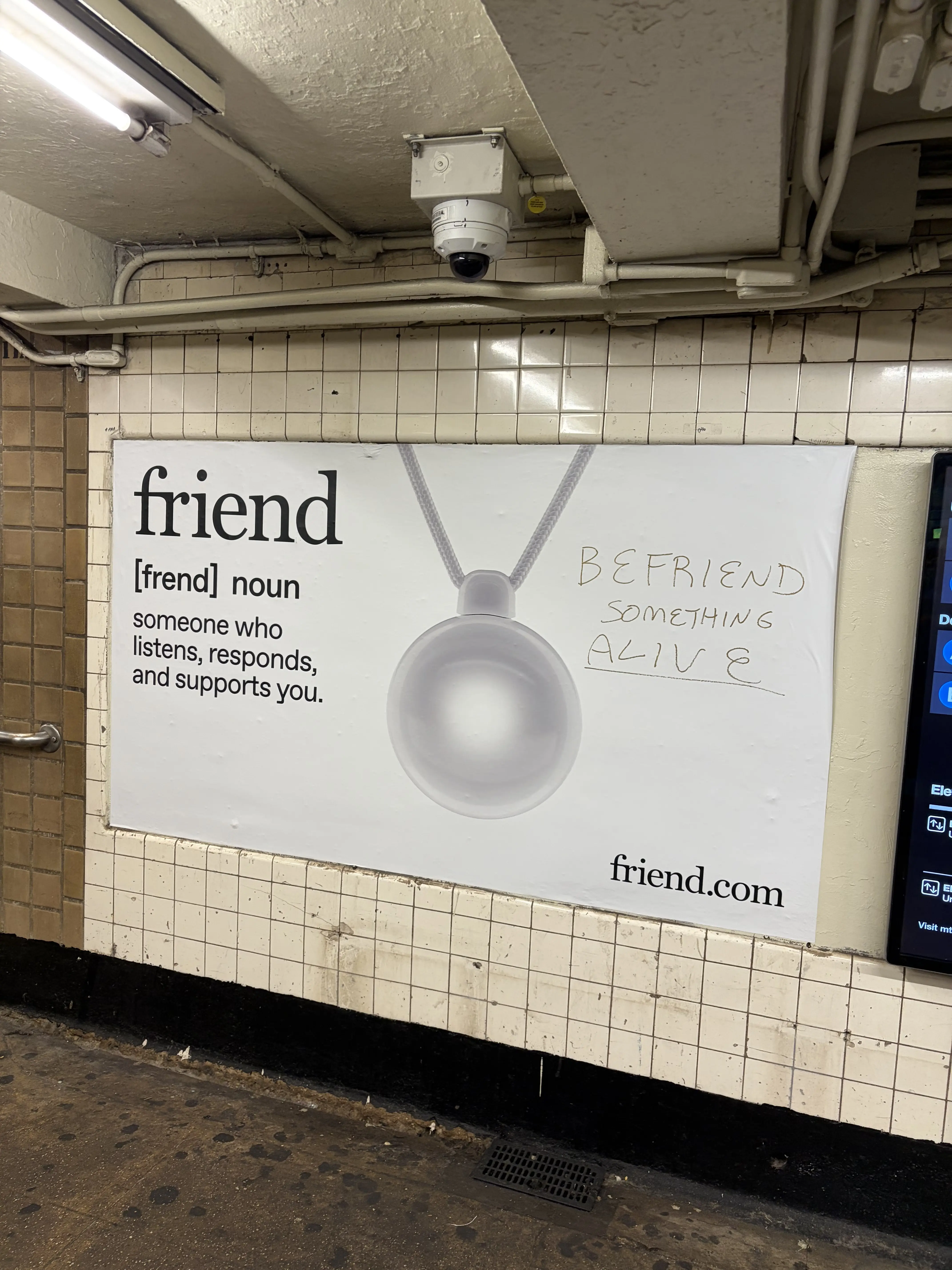 BEFRIEND SOMETHING <u>ALIVE</u>